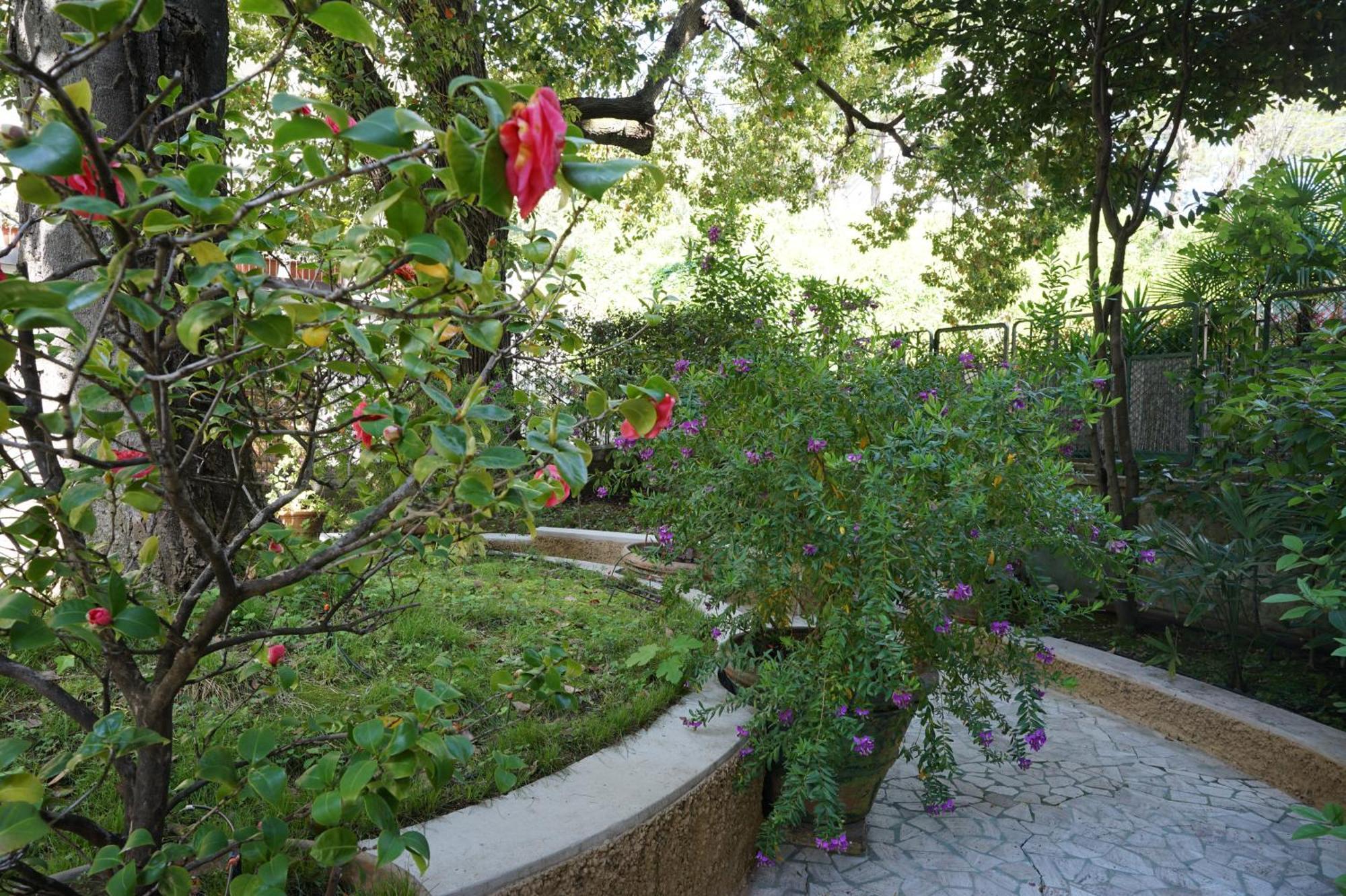 La Casa Dell'albero