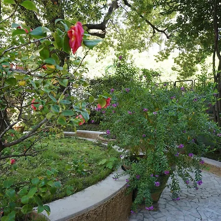 La Casa Dell'Albero Apartment La Spezia Exterior photo